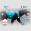 Terrain Dog Cooling Vest - Cooling Fabric Powered by Coolcore®
