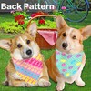 Easter Dog Bandanas 2 Pack, Hip Hop Egg Hunt Bunny