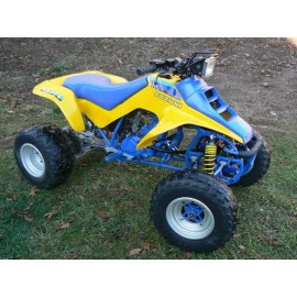 ABR SUZUKI LT250R 250 QUADRACER, LT250S 250S QUADSPORT TOP,BOTTOM A ARM BEARINGS KIT