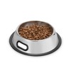 JR JUMIAR Dog Bowls, Dog Bowls Stand for Small Dogs, Dog Feeder with Stainless Steel Bowls, Dog Food Bowls with Non-Slip Feet