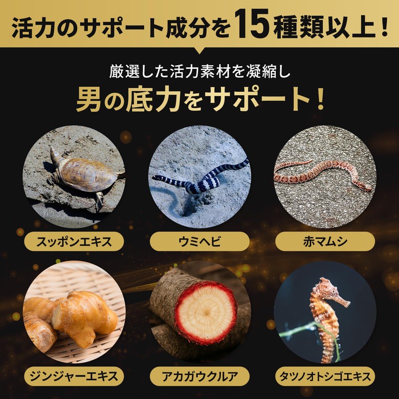 HAREM RUSH 男性用 妊活サプリ 厚生労働省推奨 葉酸 480μg 亜鉛 配合 活力サプリ