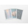 CANSON Archival Photo/Storage 32x24x4cm Box, Schwarz, 1 Box, Ideal für