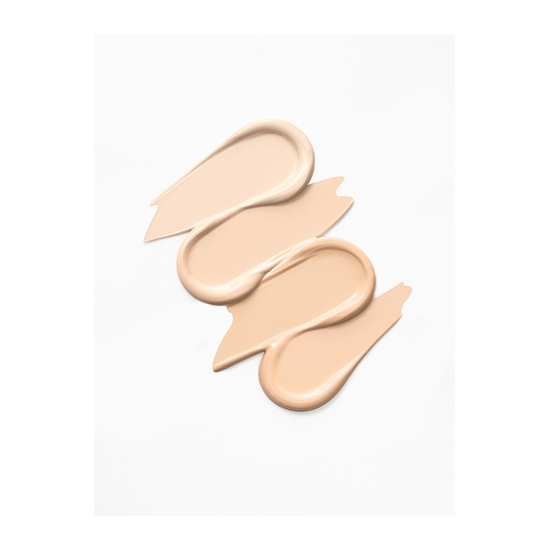 Arial Ink Feeder Perfect Fit Concealer 6.5 g / 아리얼