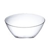 Posh Setting Crystal Clear, Disposable Premium Hard Plastic Medium Angled