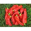 CEMEHA SEEDS - Seeds Giant Sweet Bell Pepper Red Horn