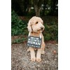 Pearhead Pet's Baby Announcement Chalkboard Photo Prop Sign, Mom &