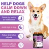 TTLXRL Calming Chews for Dogs Hemp Chicken Flavor Anxiety Relief
