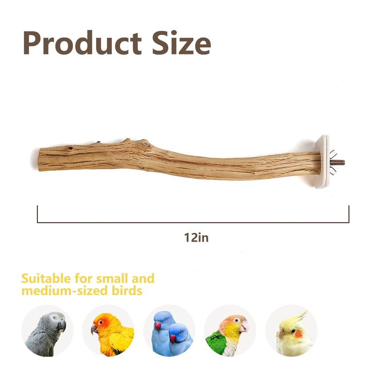 Natural Wood Bird Perch for Cage – Chewing & Claw