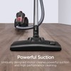Eureka Bagless Canister Vacuum Cleaner, Lightweight Vac for Carpets and