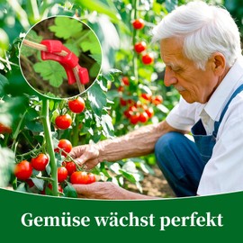 Pack of 100 Grow Accessories, 90 Degrees, 1 cm Wide, Plant Clips, Wall Plant Bender Lst Clips, Binding Pliers for Plants, Low Stress Training, Plants, Bender Early Bed Attachment, Plant Clips