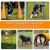 Dog Agility Training Equipment Set Outdoor Indoor Game, Tire Jump