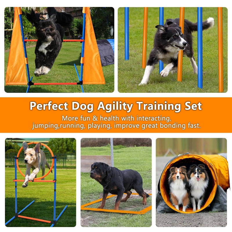 Dog Agility Training Equipment Set Outdoor Indoor Game, Tire Jump