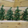 Premier Pre-Lit Christmas Tree Pathway Lights, 6 Pack, Green