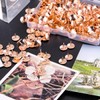 Thumb Tacks 500-count, 3/8-inch Rosegold Roundness Push Pins Office Tacks