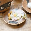 Fukubeya Mino Ware Raccoon Plates, Set of 4, Made in