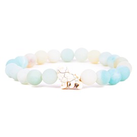 Fahlo Lion Tracking Bracelet, Elastic, supports EWASO Lions, one size fits most for Men and Women, one size, Stone, no gemstone