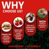 Earth BOTANIC Organic Cranberry Capsules 40,000mg High Strength | 150