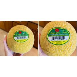 Summer Kiss 15-20 Organic Summer Kiss Melon Seeds Sweetest Tasted Cantaloupe Honey Juicy