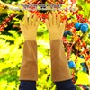 Rose Pruning Gardening Leather Gloves Wearproof Puncture Proof Long Work