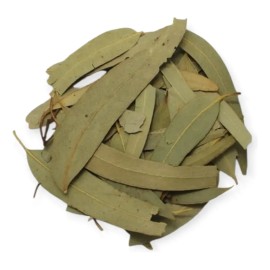 Hojas Eucalipto Medicinal Infusión