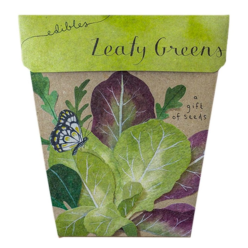 SOW 'N SOW Gift of Seeds - different styles, Thank