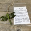 Handmade Dragonfly Story Card Christmas Ornament