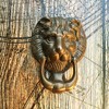 Antikas - Door Knocker Brass Lion - Front Door Knocker