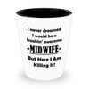 Gifts for Awesome Midwife Shot Glass Tequila Shotglass Novelty Drinkware