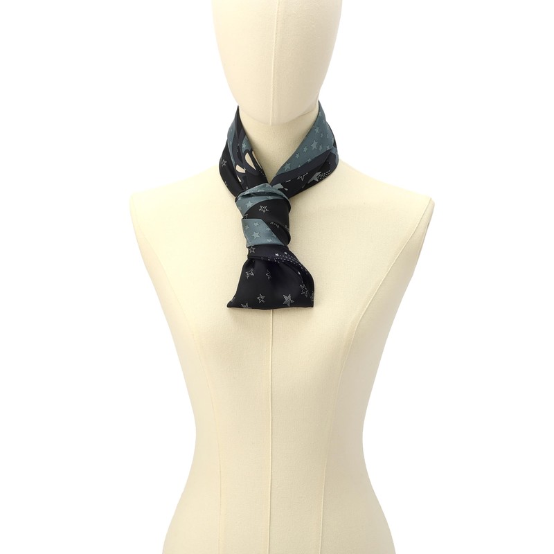 Coach SHOOTING STAR REXY PRINTED SILK SQUARE