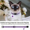 NCONCO 12 Collares para Gato Reflectantes con Campana