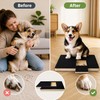 Dog Nail Scratch Board for Easy Trimming – Wooden Treat-Drawer