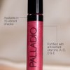 Palladio Lip Gloss, Brillo de Labios No Pegajoso, Ofrece Color