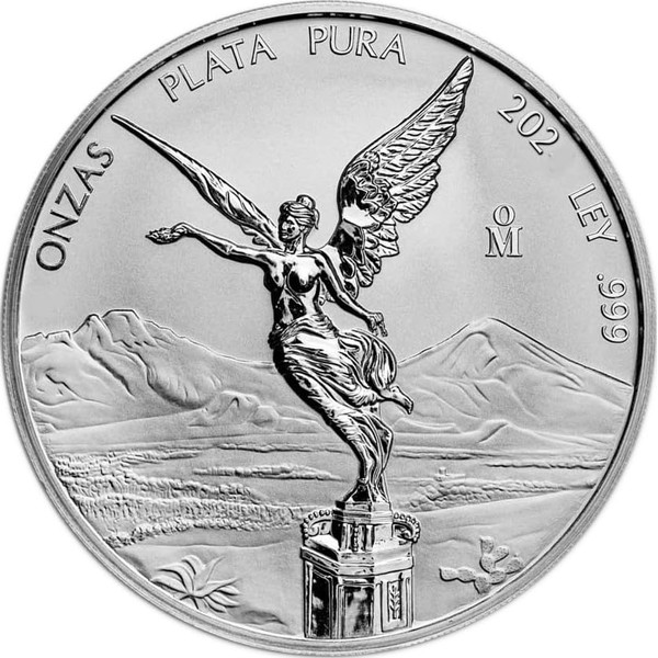 Generisch Libertad 1 Ounce Silver Coin 2024, 31.1 g 999/1000