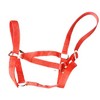 Extra Strong Equine NEW Horse Cob Pony headcollars halter Nylon