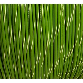 12 AWG Spiral Stripe Tracer Marine Primary Wire, Green with White Stripe, 100 Feet
