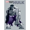 JEPH LOEB & TIM SALE: HULK GALLERY EDITION