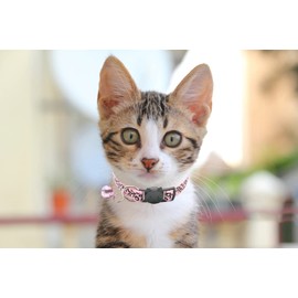 Cat Collar Breakaway, Kitten Collar with Bell for Girl Boy Female Male Cats Soft Nylon