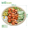 biocean 12.5 Inch Compostable Oval Plates [125-Value Pack] - Sustainable