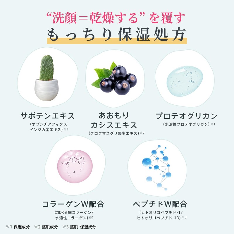 Border Free Cosmetics Whip Foam Facial Wash [Genuine] Dense Micro