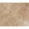 Sunshine Cowhides 100% Genuine Exotic Beige Cowhide Rug - Modern