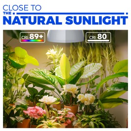 Barrina LED Grow Light Bulb, 50W (2 x 25W) Full Spectrum, with 16.4FT Power Cord, Hanging Grow Lights for Indoor Plants, Large Tall Plant, Garden, Flowers, Greenhouse, 2-Head