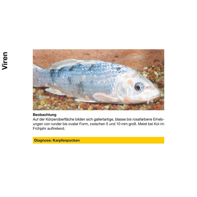 sera Cyprinopur Pond Water Conditioner, 250 ml