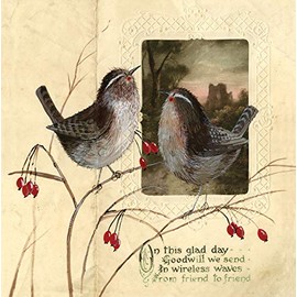 Alex Clark Vintage Wrens Christmas Card Bird Image
