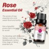 Rose - 100% Pure, Best Therapeutic Grade Essential Oil -