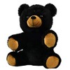 Record Your Own Plush 8 inch Stuffed Black Bear -