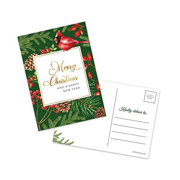 50- Red Cardinal Bird Holiday Postcard Set 5x7" Cute Blank