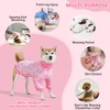 Yoolhamy Ealstic Dog Bodysuit After Surgery Female and Male Dogs,