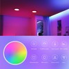 Smart Ceiling Light Work with HomeKit, Alexa and Google Home
