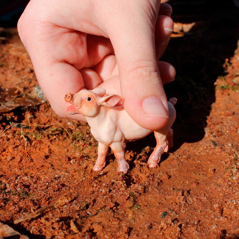 Safari Ltd. Playful Piglet Figurine - Lifelike 2" Model Figure