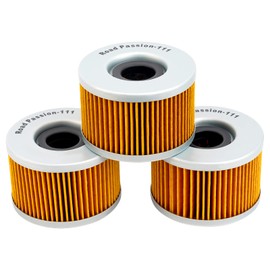 Road Passion High Performance oil filter Replacement for HONDA TRX500FGA FOREMAN RUBICON GPSCAPE 500 2004-2008/ HONDA TRX400FGA RANCHER AT GPSCAPE 397 2004-2007/TRX400FA RANCHER AT 400 2004-2007 3pcs